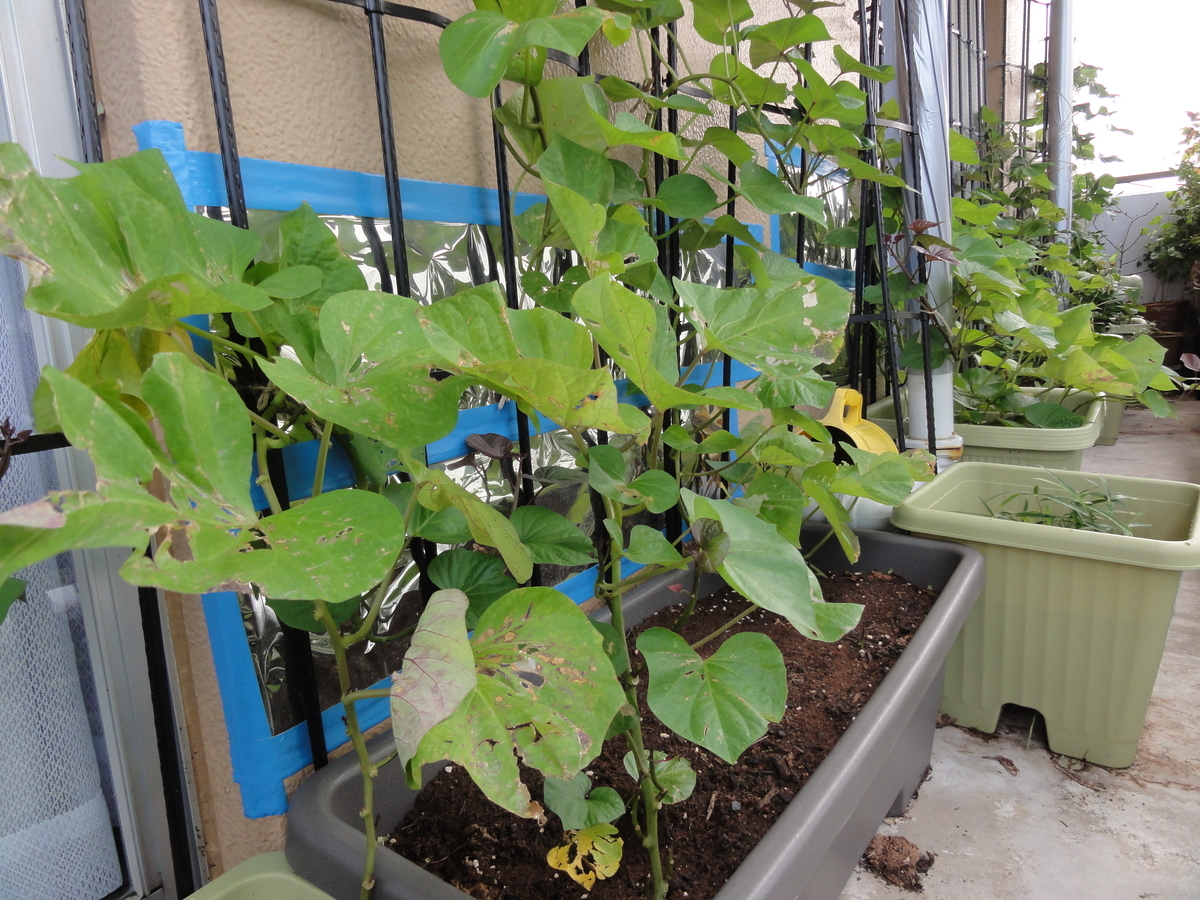 f:id:TAITYOU:20190917172051j:plain f:id:TAITYOU:20190917172051j:plain