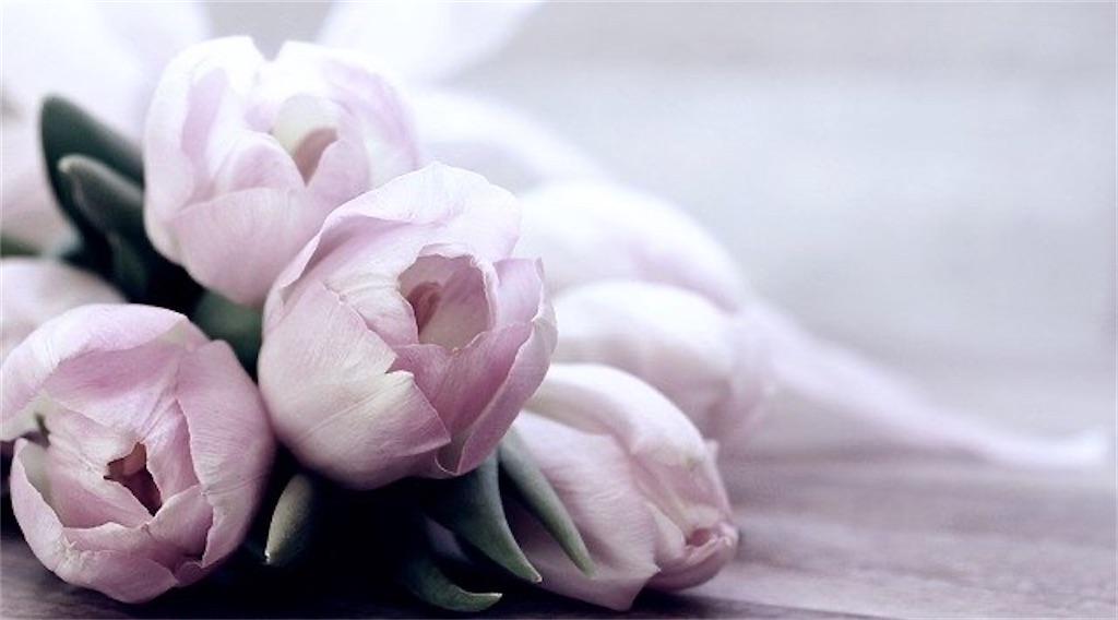 f:id:TAKA4612:20200718043601j:image