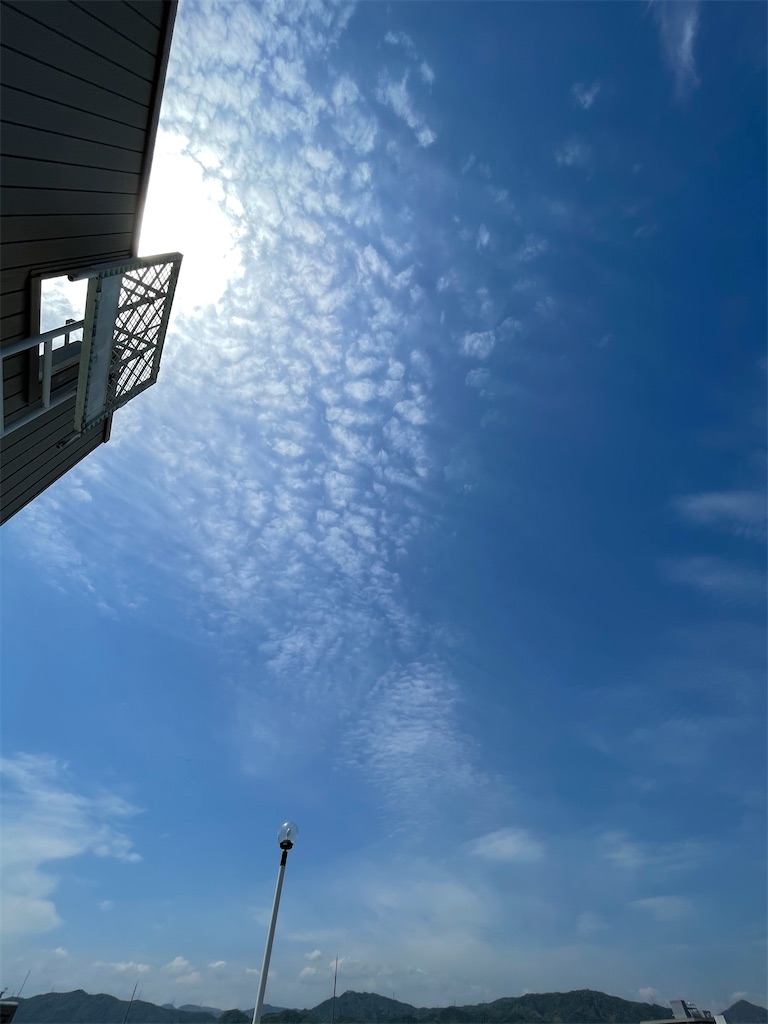f:id:TAKA4612:20210425072534j:image