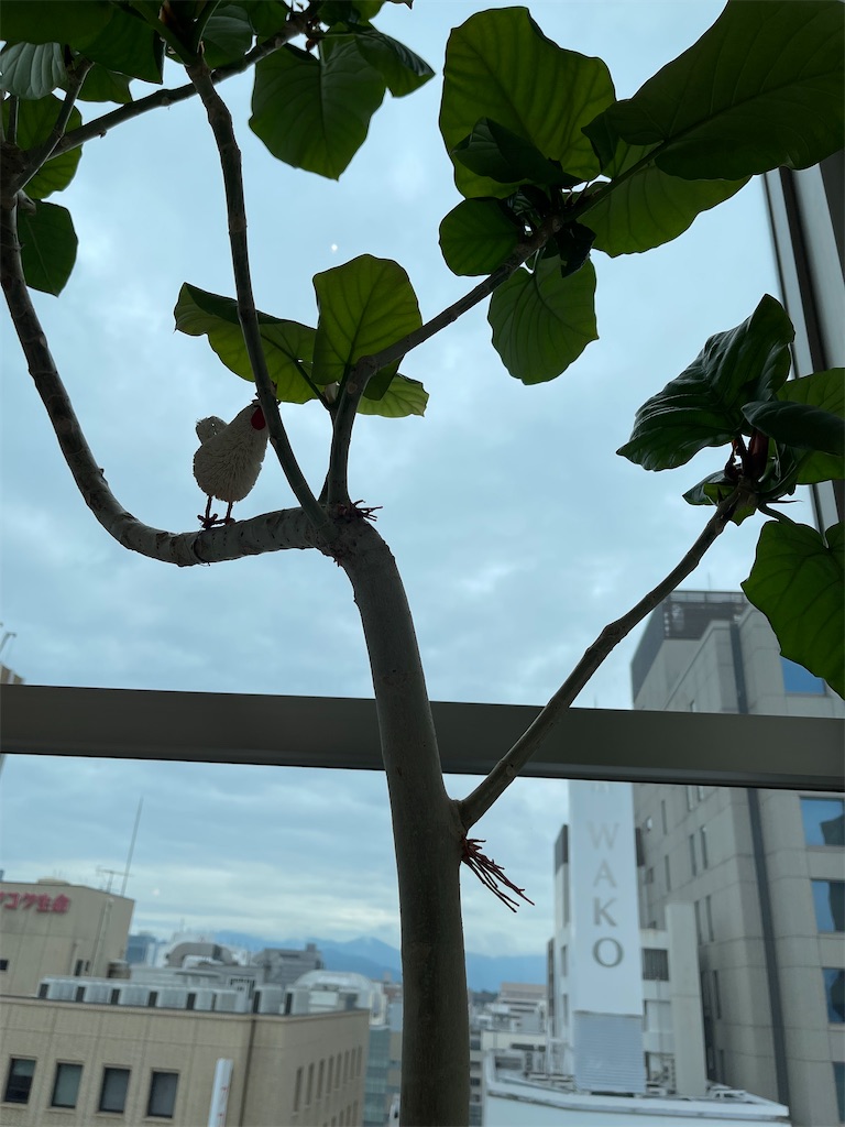 f:id:TAKA4612:20210822073259j:image