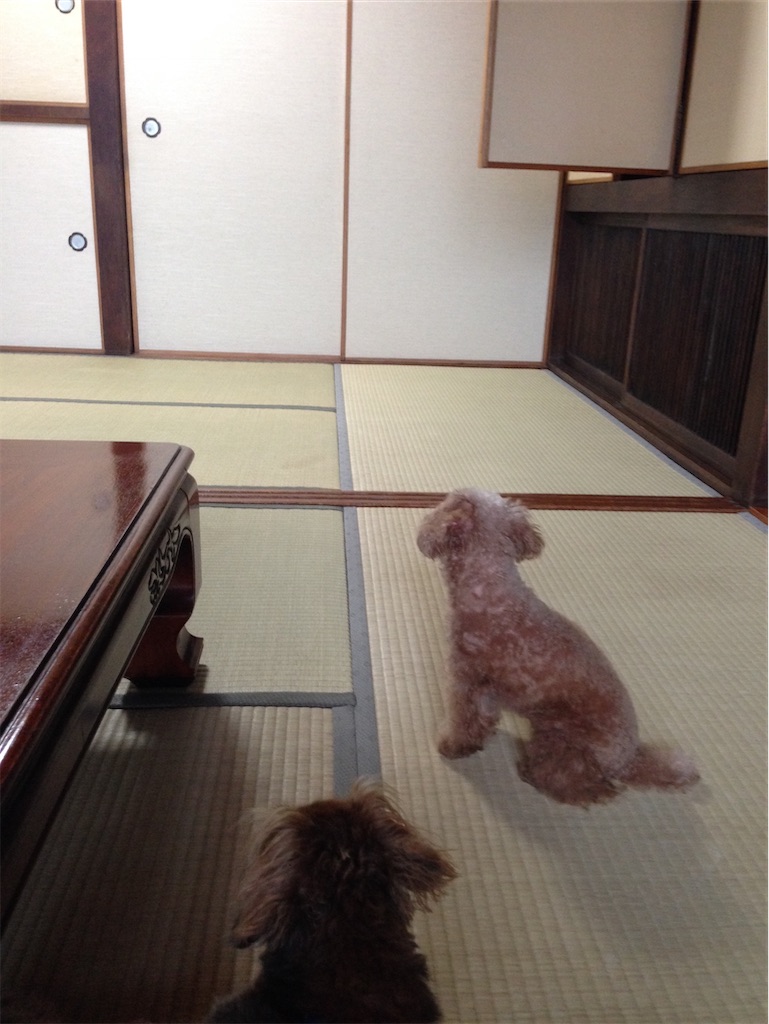 f:id:TAKA4612:20211214101400j:image