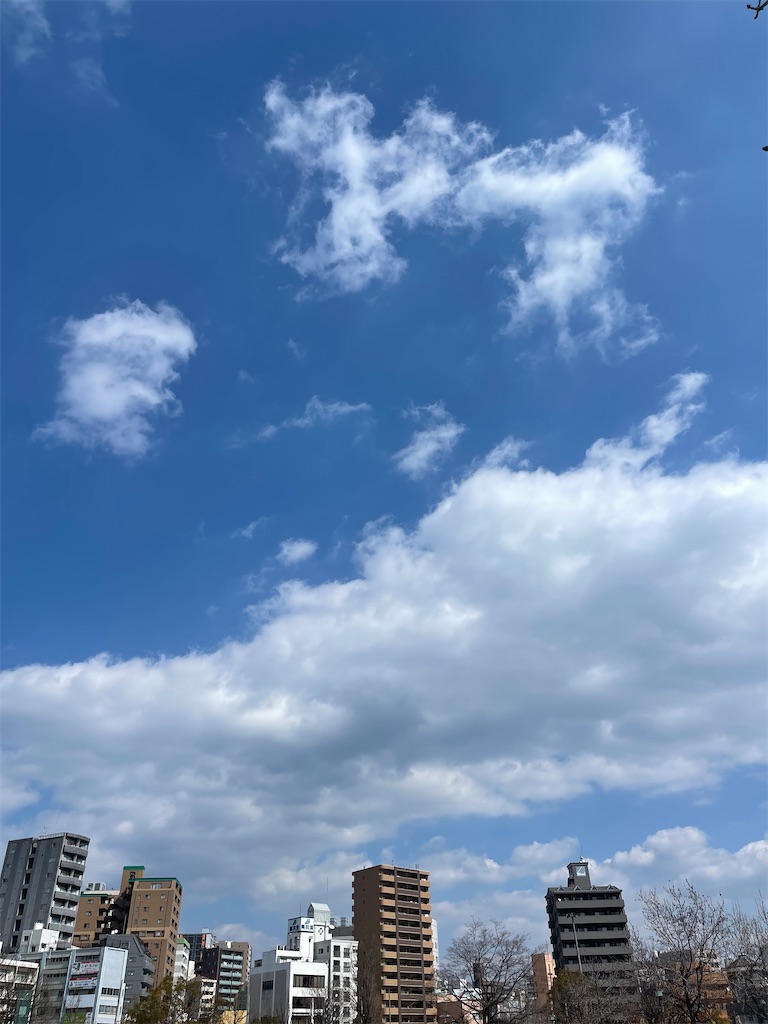 f:id:TAKA4612:20220307043336j:image f:id:TAKA4612:20220307043336j:image