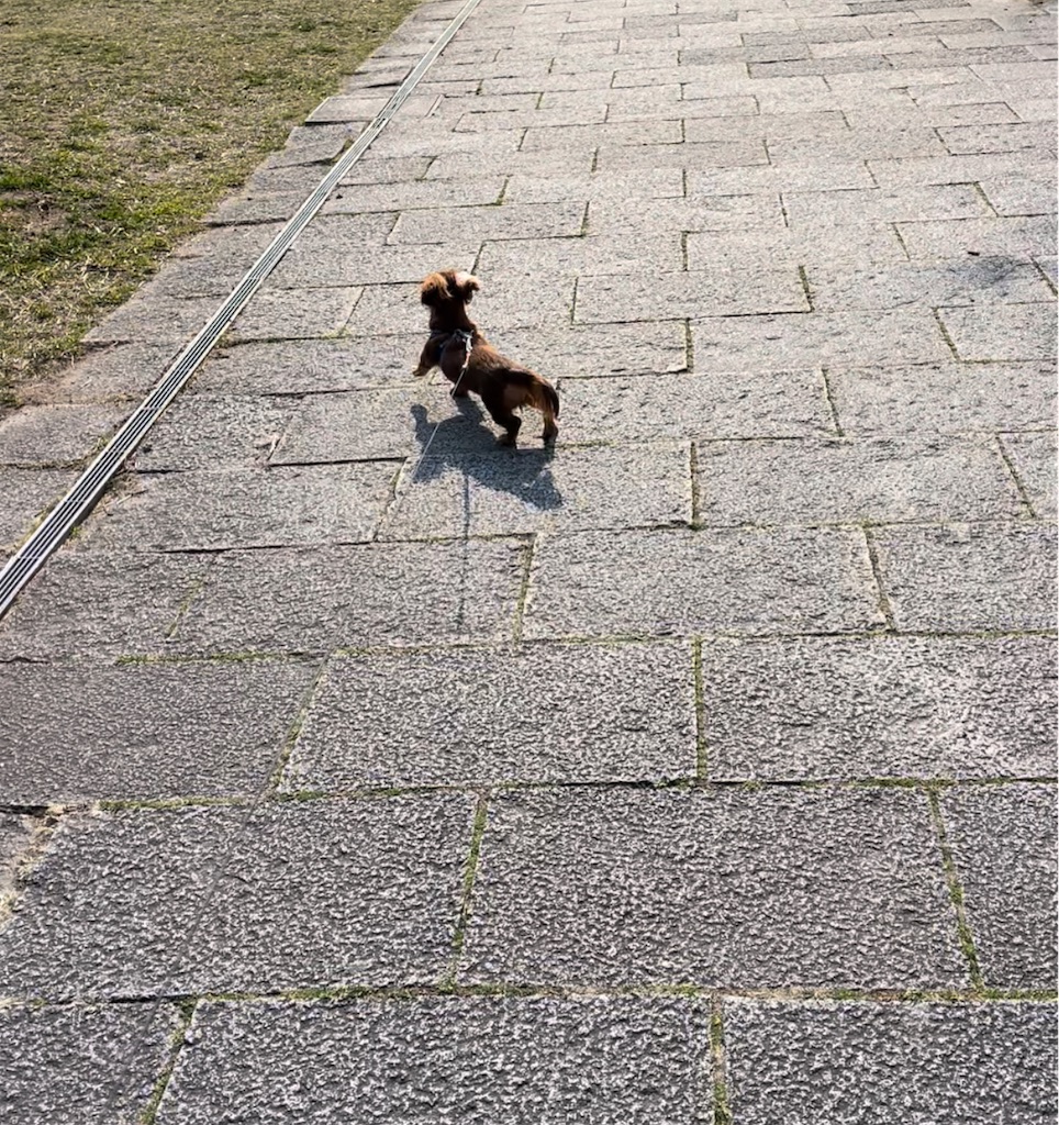 f:id:TAKA4612:20220313022748j:image f:id:TAKA4612:20220313022748j:image