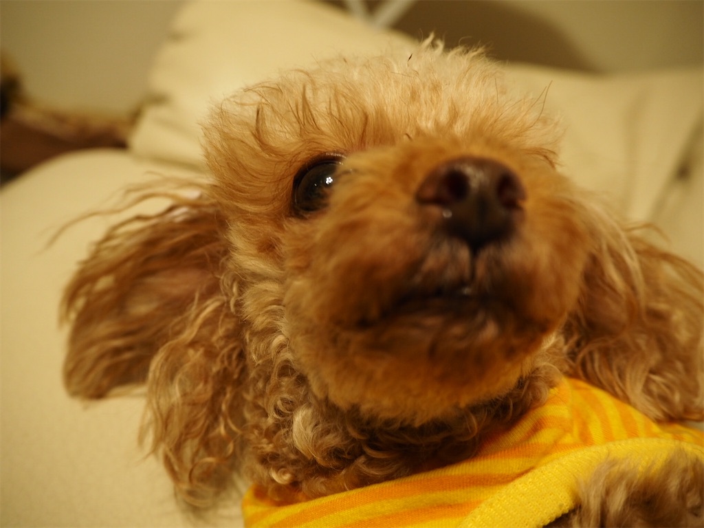f:id:TAKA4612:20220908050051j:image