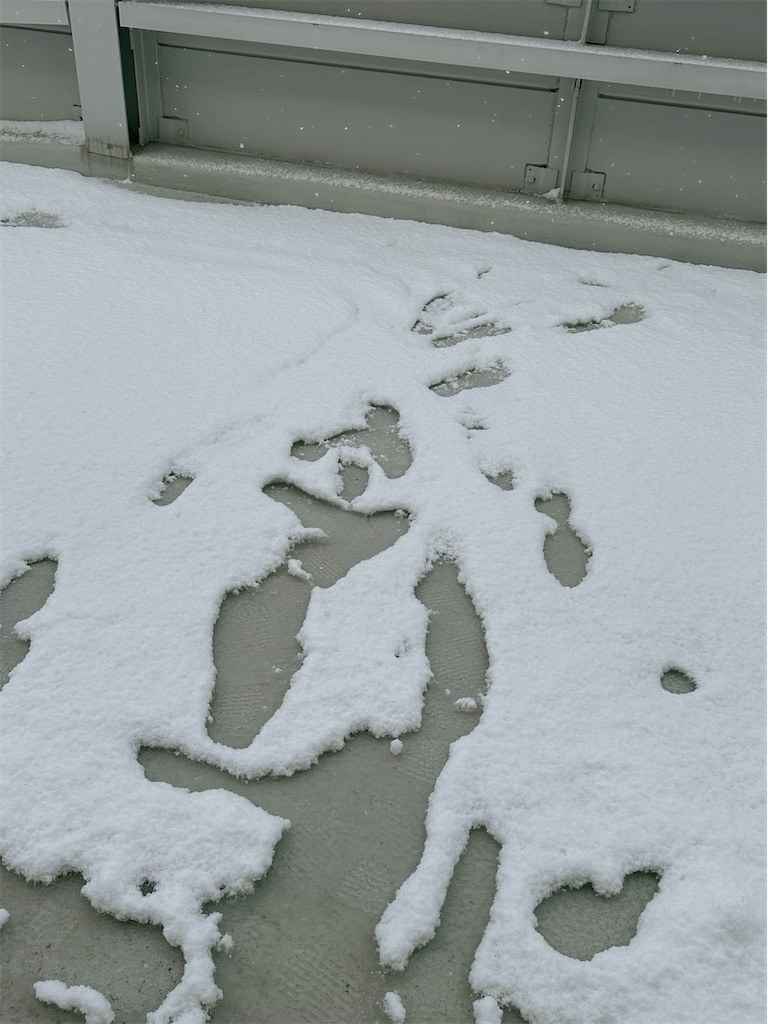 f:id:TAKA4612:20221224081323j:image f:id:TAKA4612:20221224081323j:image