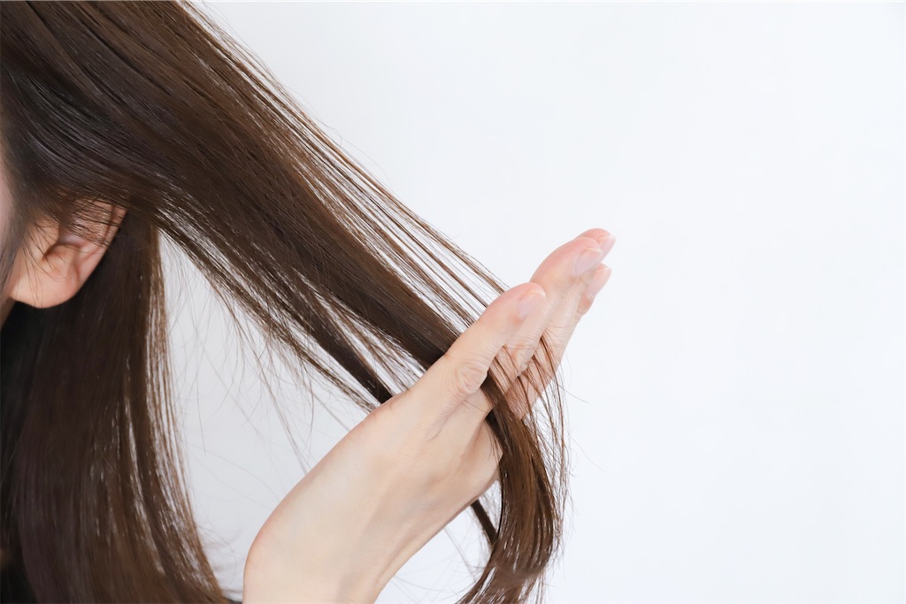 f:id:TAKA4612:20230110074226j:image