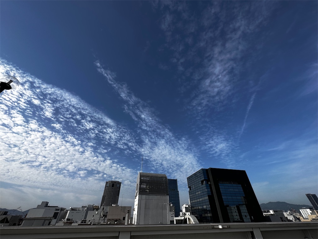 f:id:TAKA4612:20230707002951j:image f:id:TAKA4612:20230707002951j:image