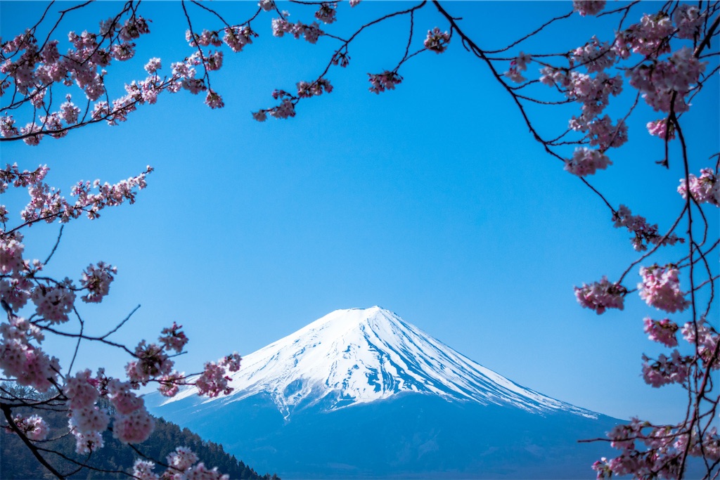 f:id:TAKA4612:20240518014219j:image