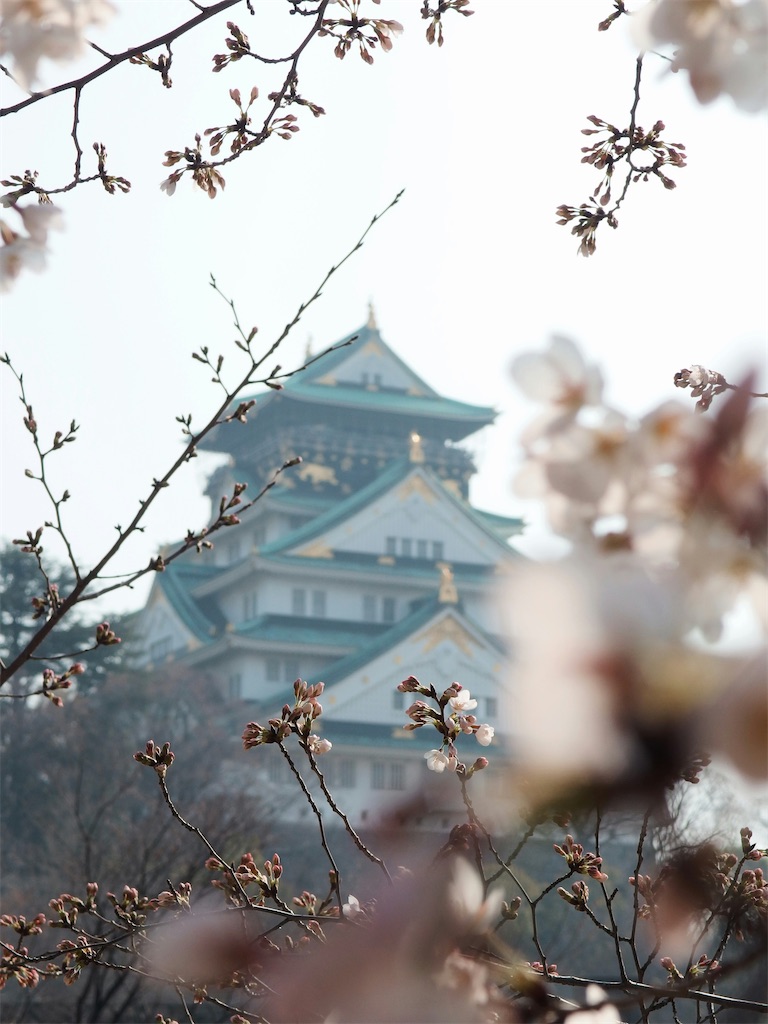 f:id:TAKA4612:20240518014416j:image