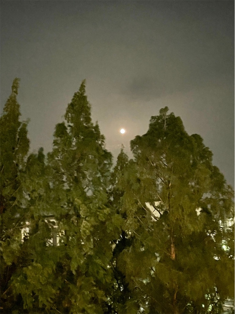 f:id:TAKA4612:20240524235926j:image