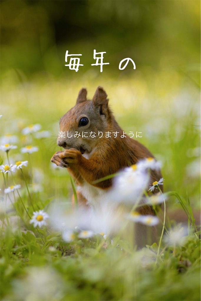 f:id:TAKA4612:20240606034339j:image