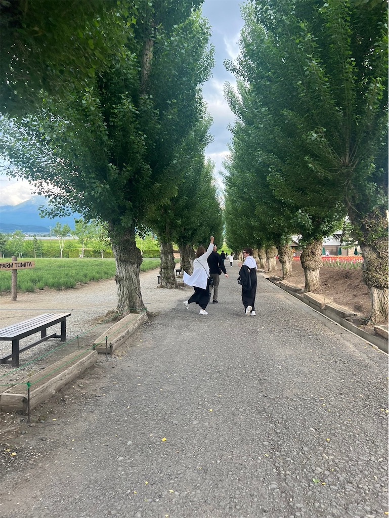 f:id:TAKA4612:20240613061210j:image