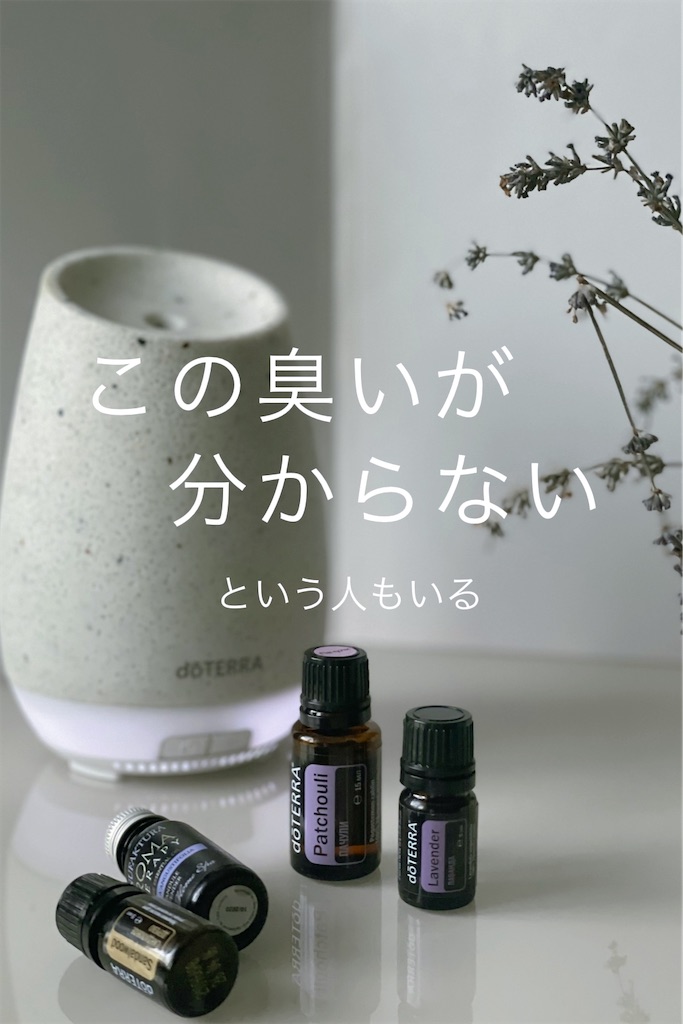 f:id:TAKA4612:20240619011924j:image