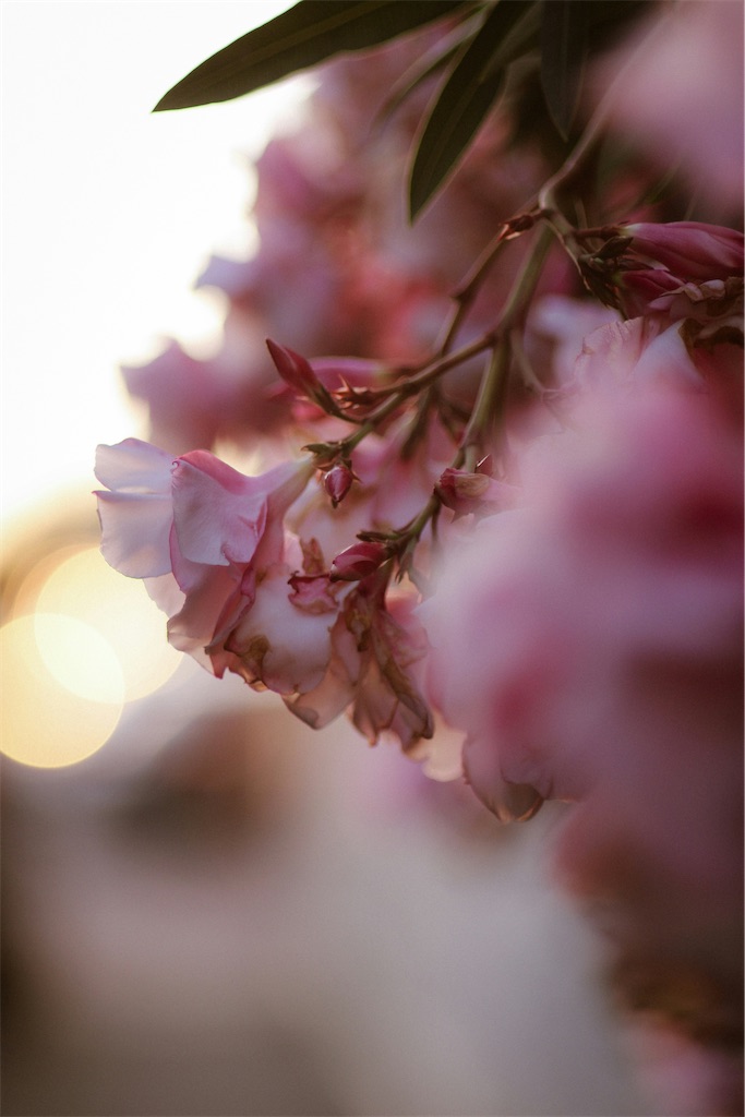 f:id:TAKA4612:20240621040127j:image