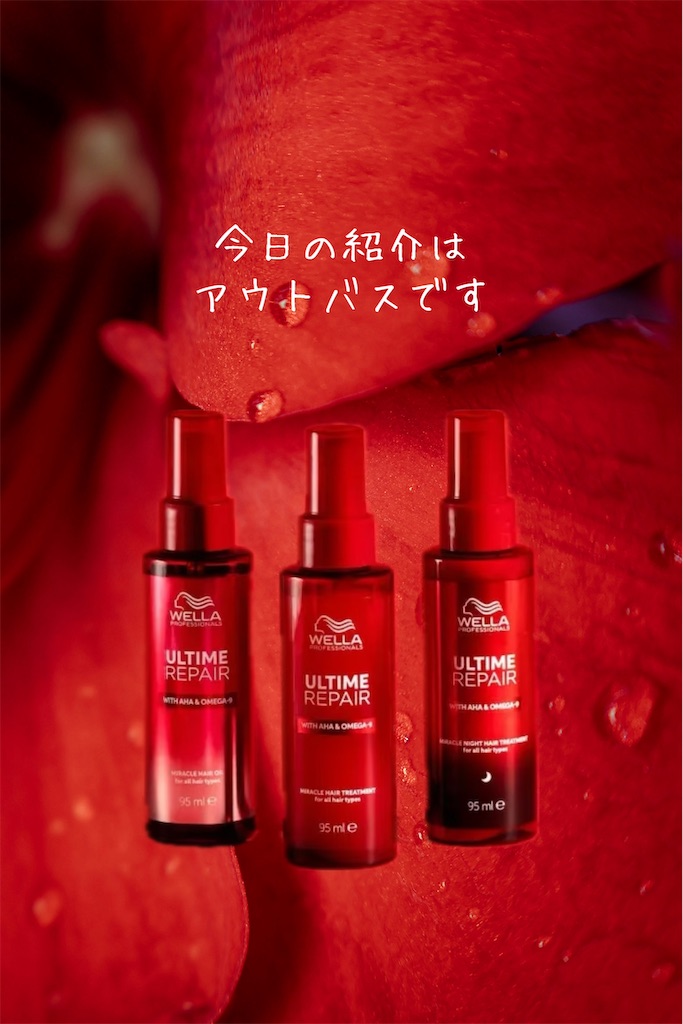f:id:TAKA4612:20240919222152j:image