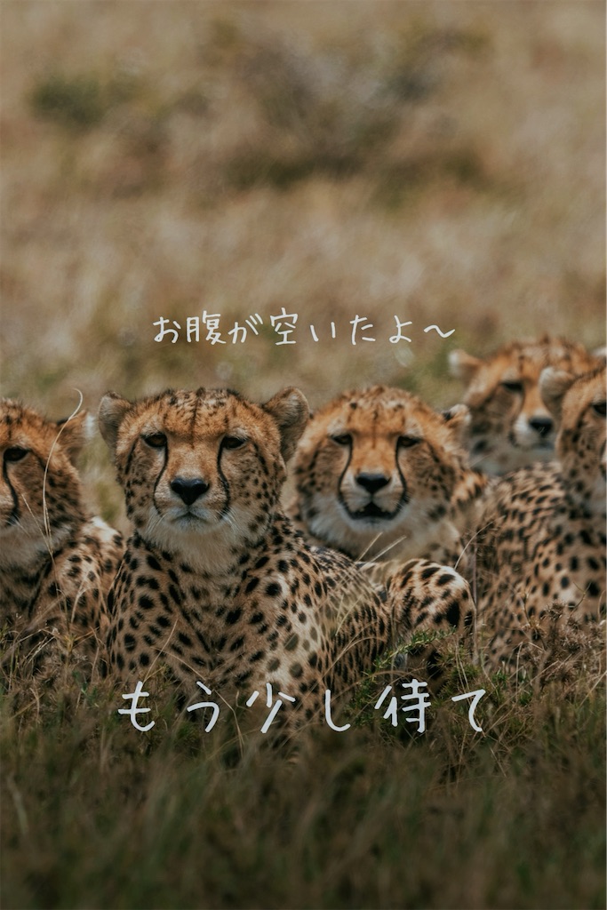 f:id:TAKA4612:20240929001328j:image
