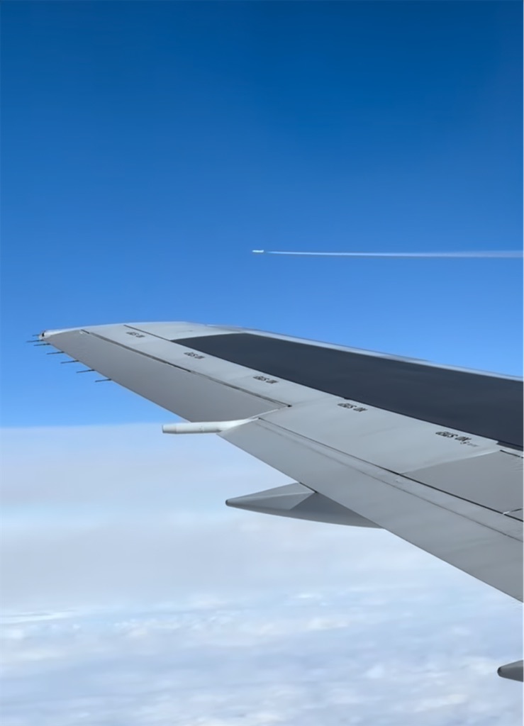 f:id:TAKA4612:20241028222249j:image