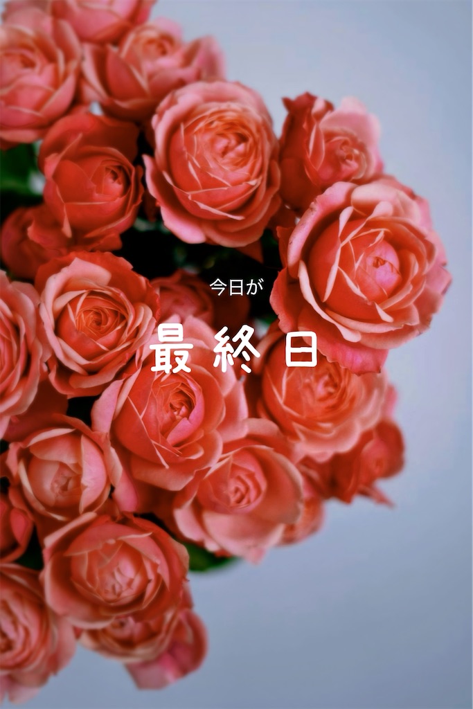 f:id:TAKA4612:20241031000212j:image