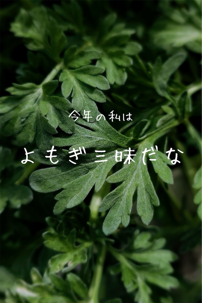 f:id:TAKA4612:20241108003455j:image