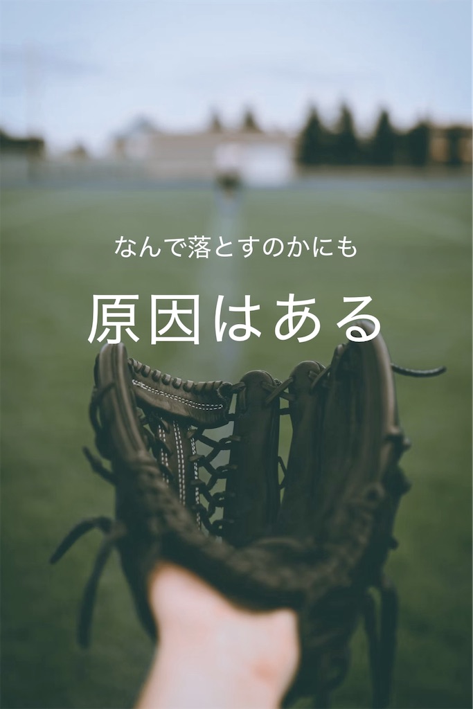 f:id:TAKA4612:20241125061123j:image