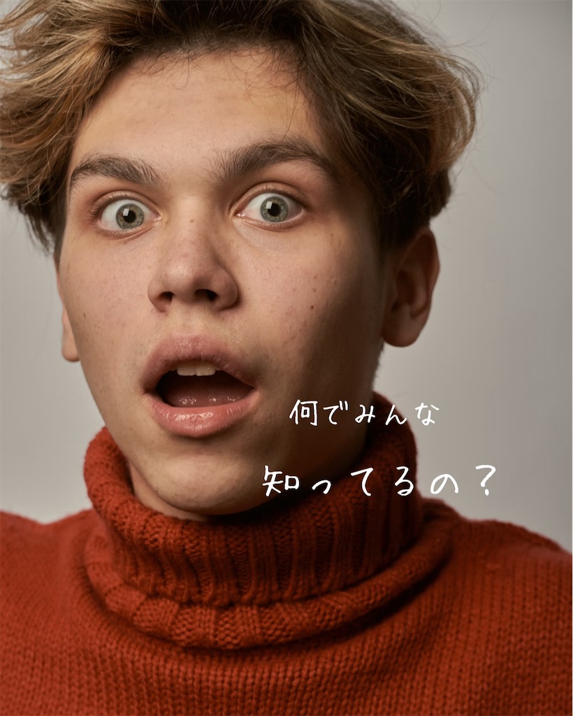 f:id:TAKA4612:20241205003423j:image