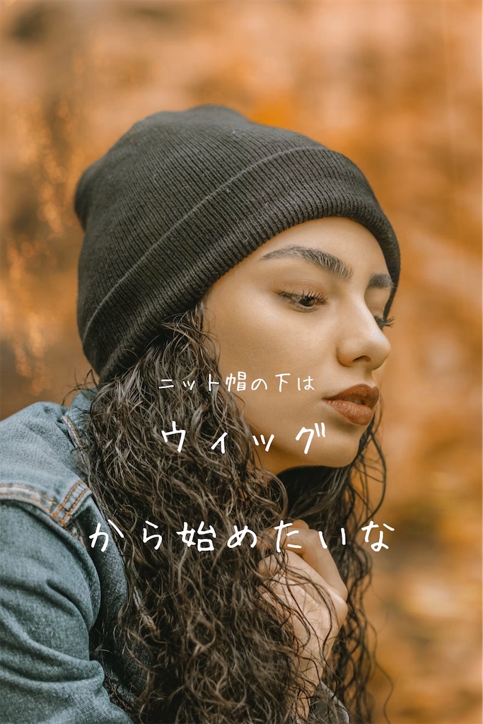 f:id:TAKA4612:20241209023332j:image
