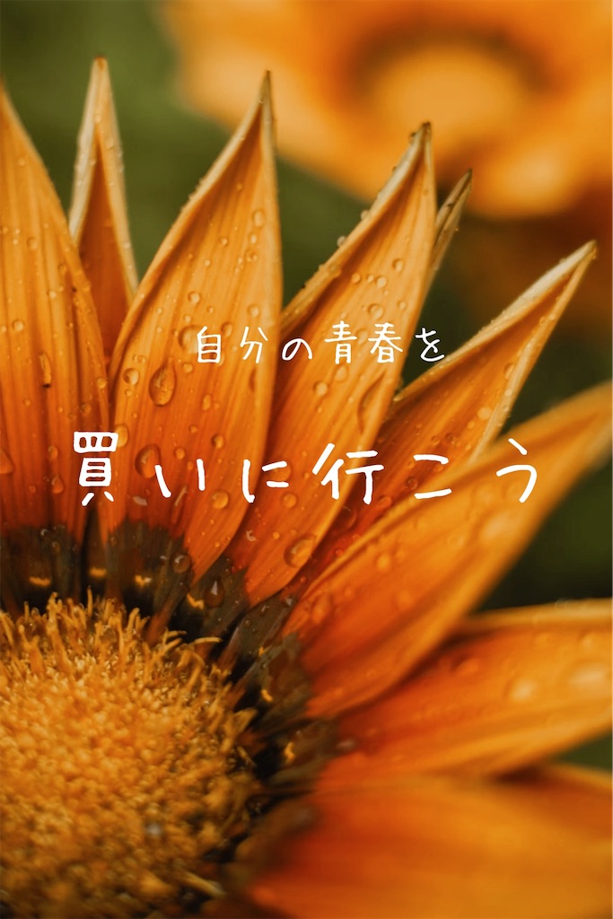 f:id:TAKA4612:20241212005437j:image