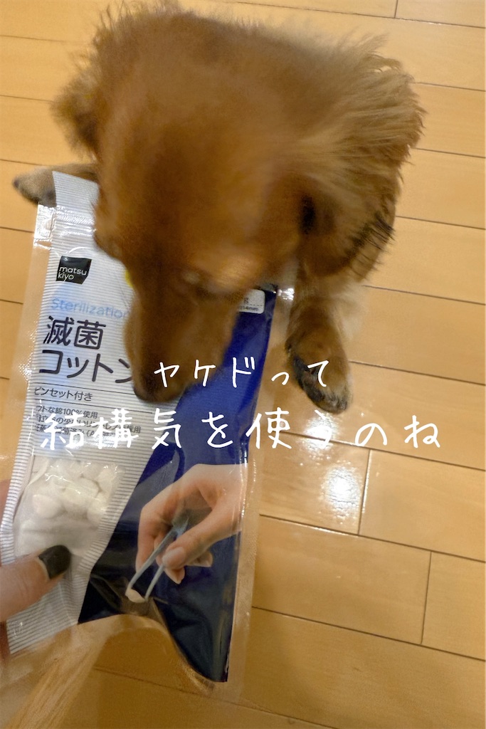 f:id:TAKA4612:20241218003923j:image