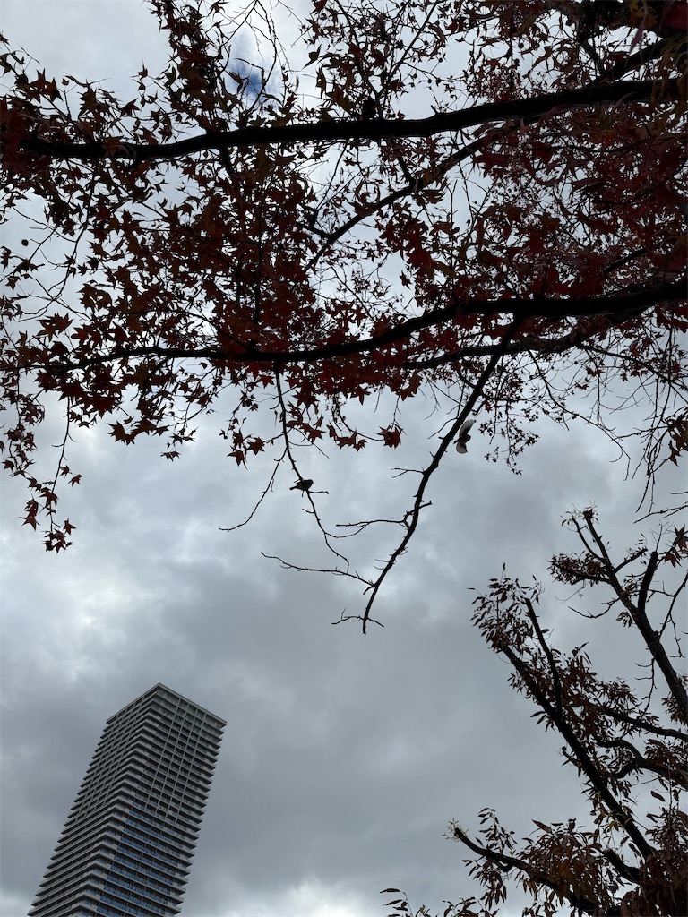 f:id:TAKA4612:20241219015723j:image