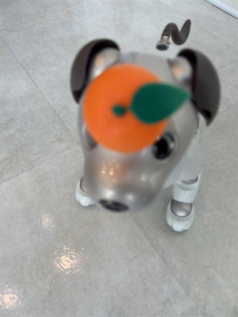 f:id:TAKA4612:20250106021005j:image