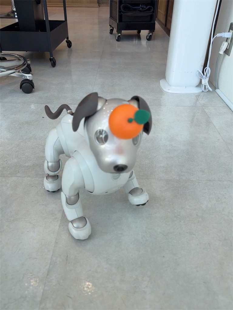 f:id:TAKA4612:20250106021015j:image