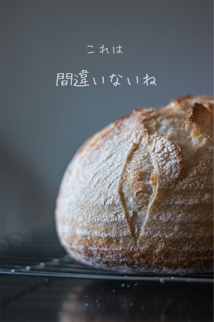 f:id:TAKA4612:20250109012541j:image