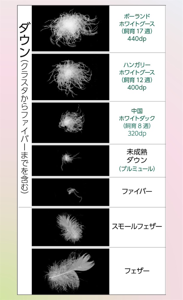 f:id:TAKA4612:20250205233902j:image