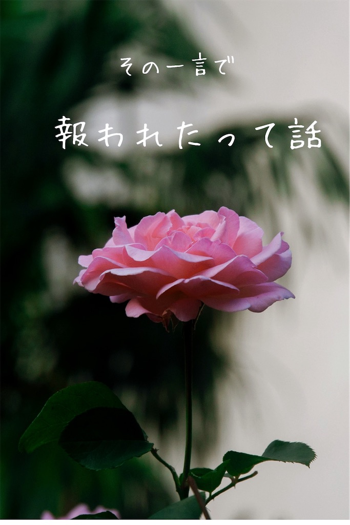 f:id:TAKA4612:20250207030441j:image