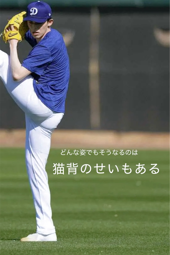 f:id:TAKA4612:20250214015345j:image
