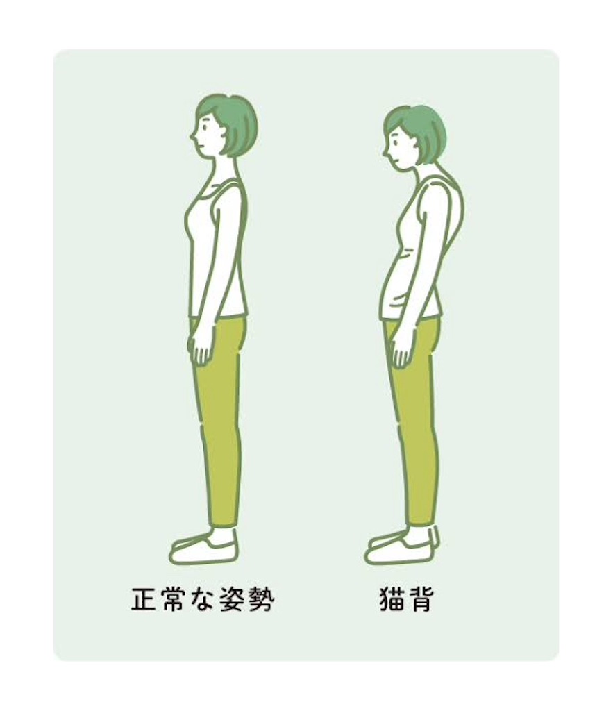 f:id:TAKA4612:20250214015405j:image