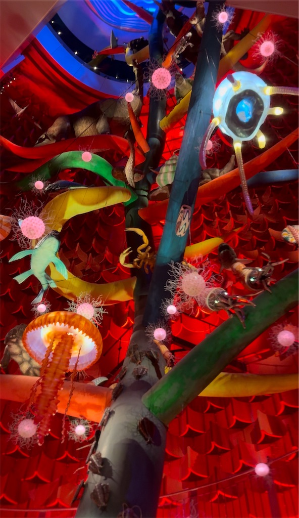 f:id:TAKA4612:20250217225254j:image