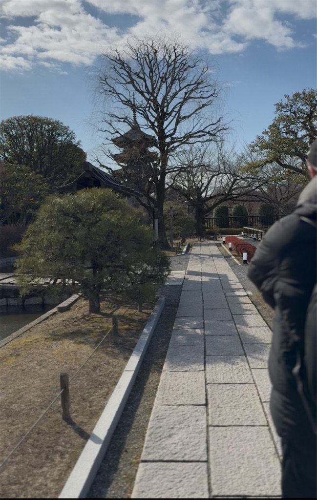 f:id:TAKA4612:20250218125331j:image
