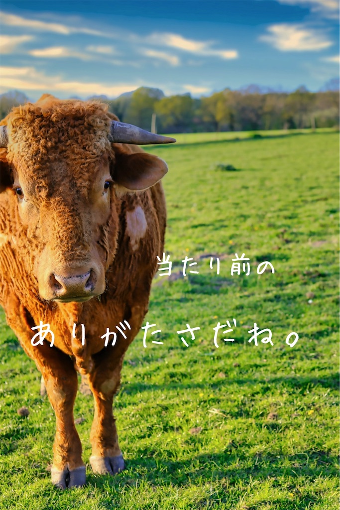 f:id:TAKA4612:20250223025532j:image