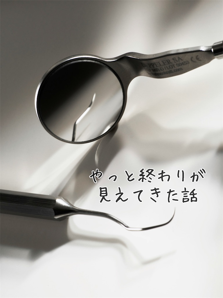 f:id:TAKA4612:20250305031205j:image