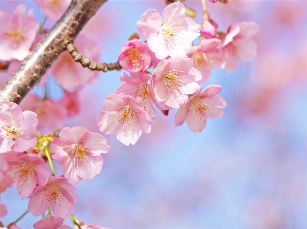 f:id:TAKA4612:20250308040328j:image