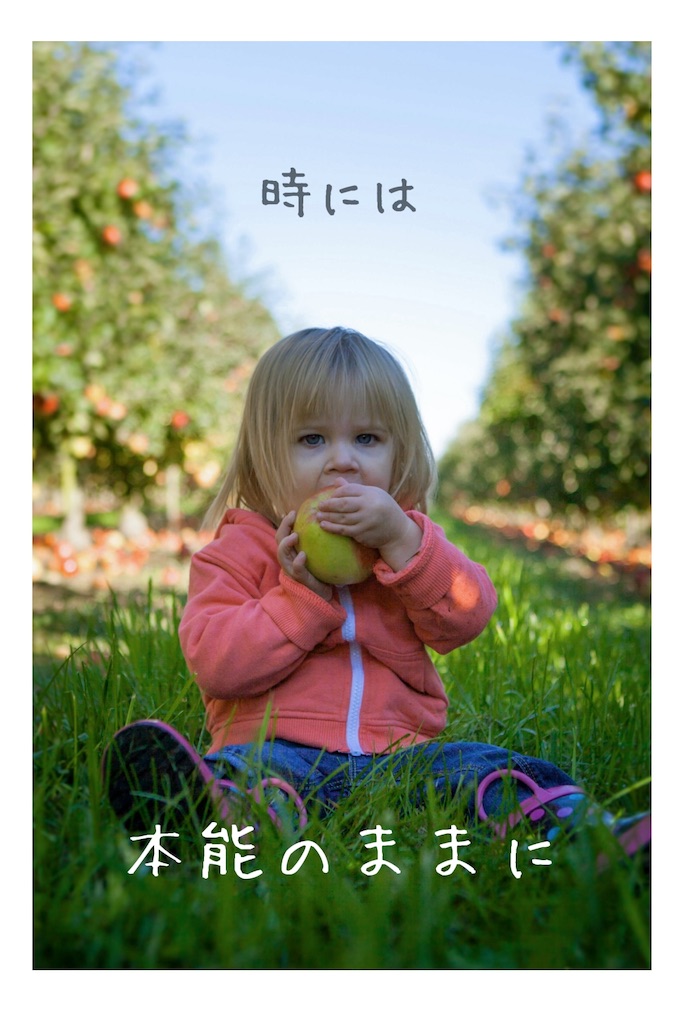 f:id:TAKA4612:20250320011010j:image