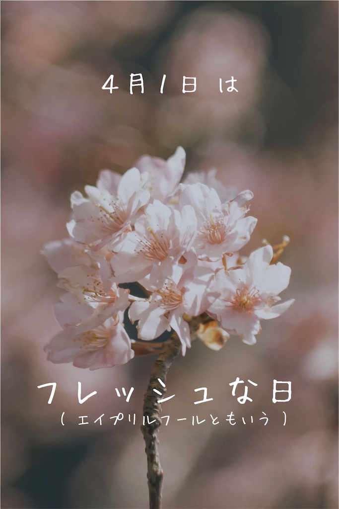 f:id:TAKA4612:20250402012211j:image