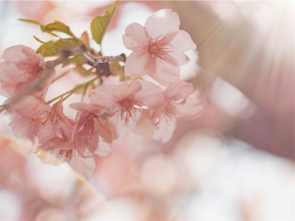 f:id:TAKA4612:20250404023703j:image