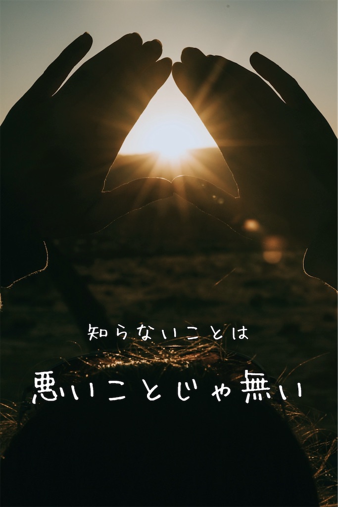 f:id:TAKA4612:20250404033908j:image