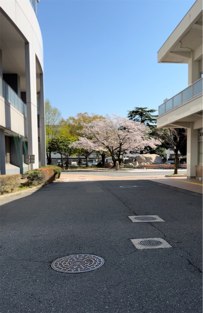 f:id:TAKA4612:20250408000709j:image