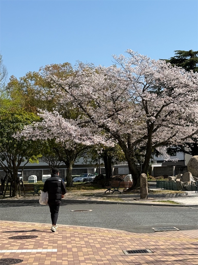 f:id:TAKA4612:20250408000749j:image