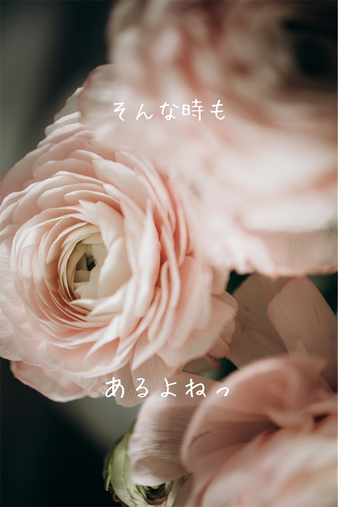 f:id:TAKA4612:20250410032613j:image