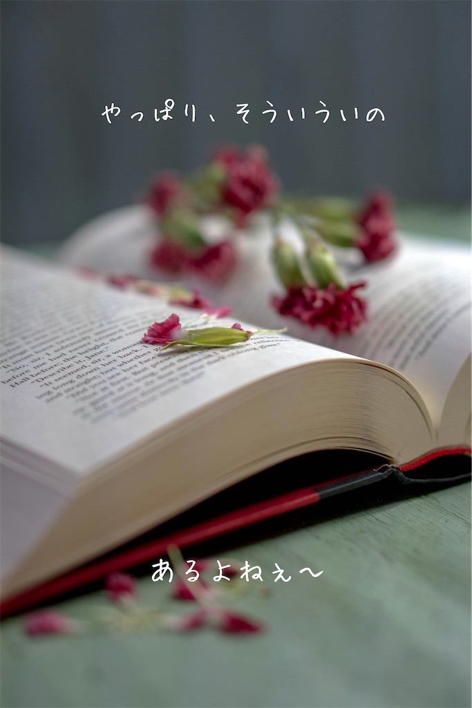 f:id:TAKA4612:20250418014123j:image