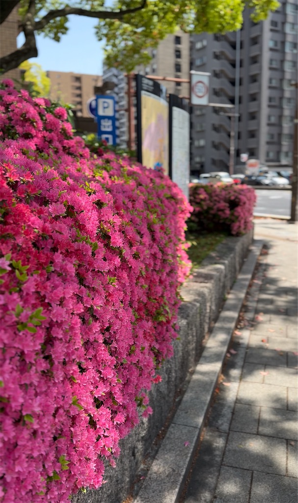 f:id:TAKA4612:20250422014053j:image